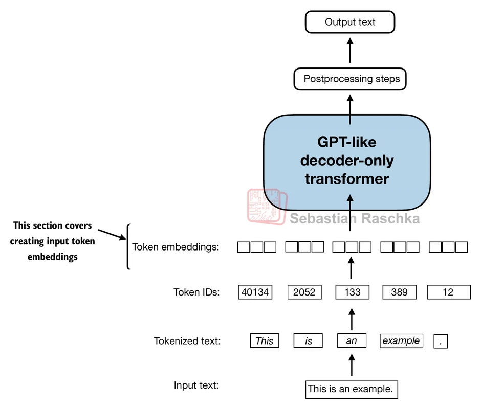 Input text converted into tokenized text, token IDs, and token embeddings