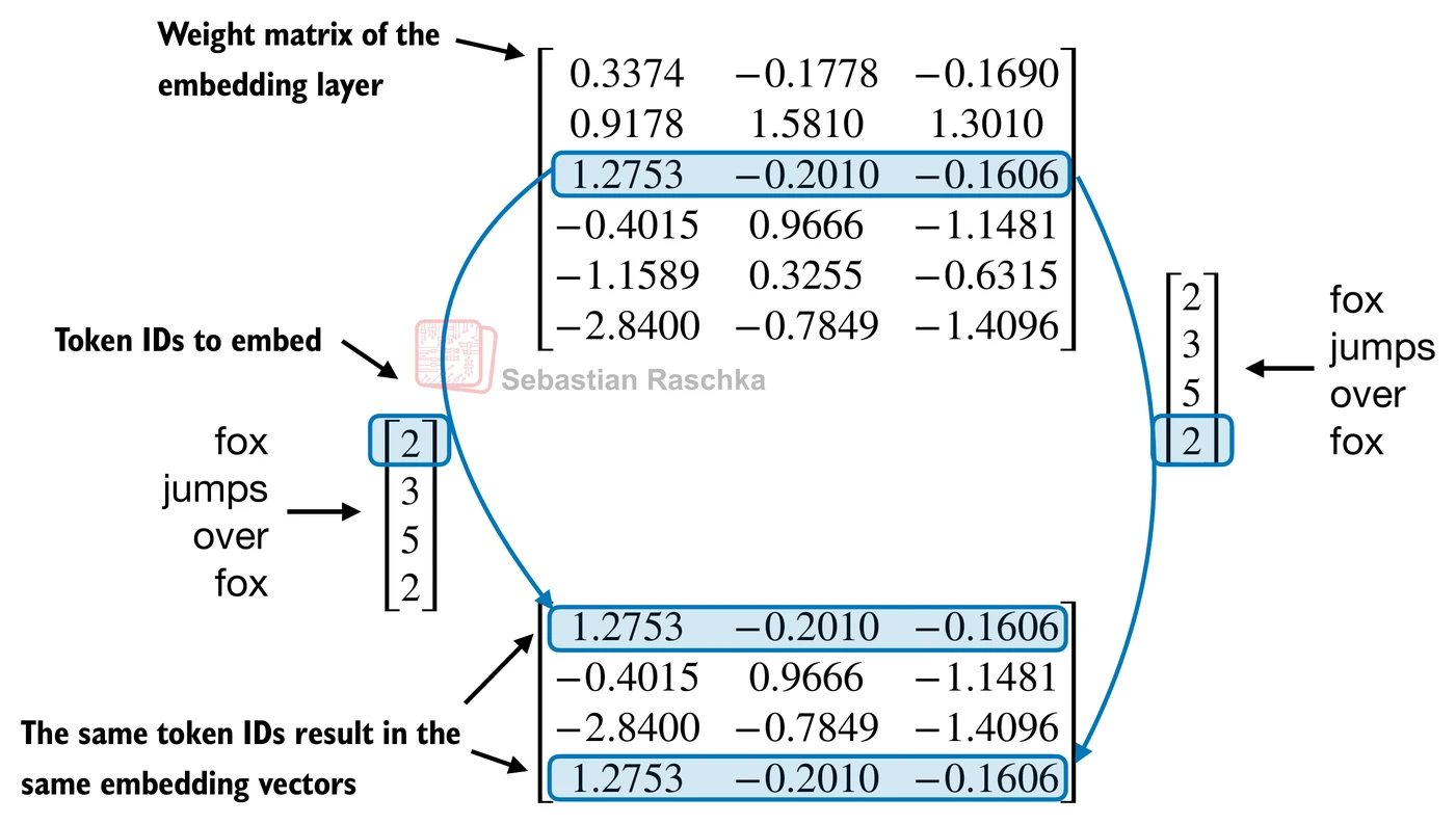 A token embedding by itself does not encode where the token occurs