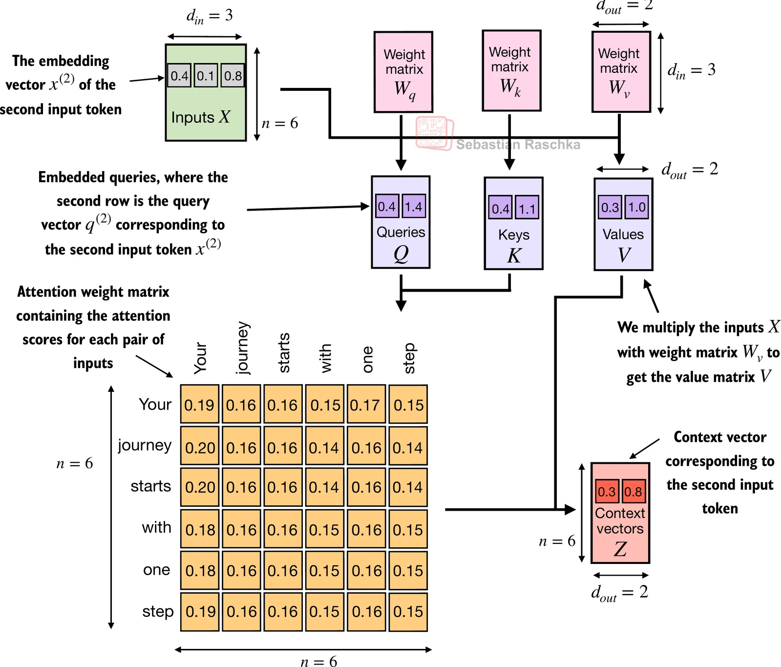 Self-attention computes context-aware token representations through query, key, and value interactions