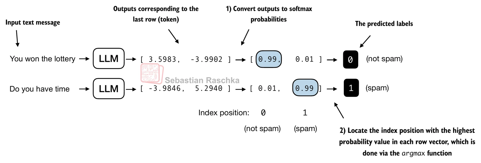 Class logits can be turned into class predictions with softmax and argmax