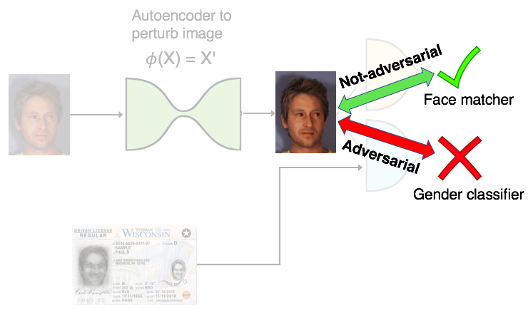 Semi-Adversarial