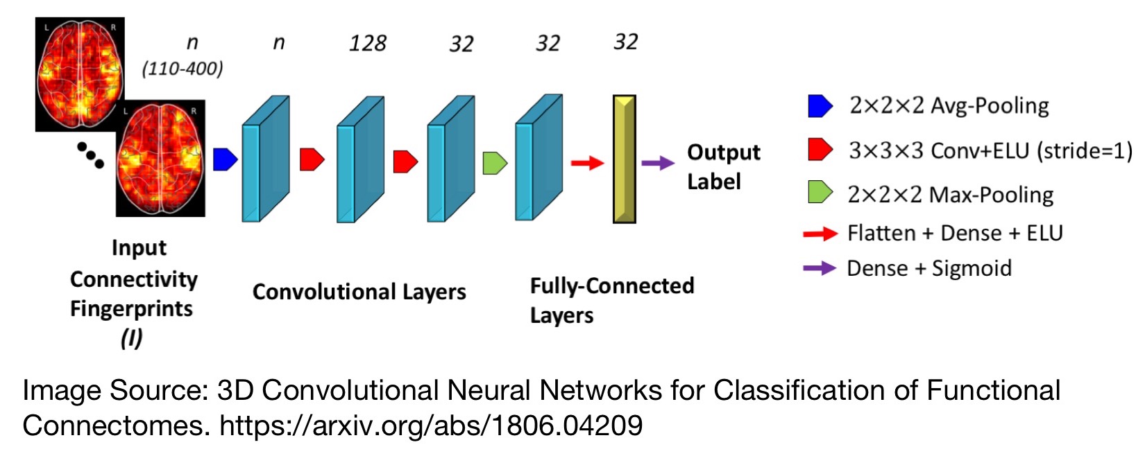 connectome