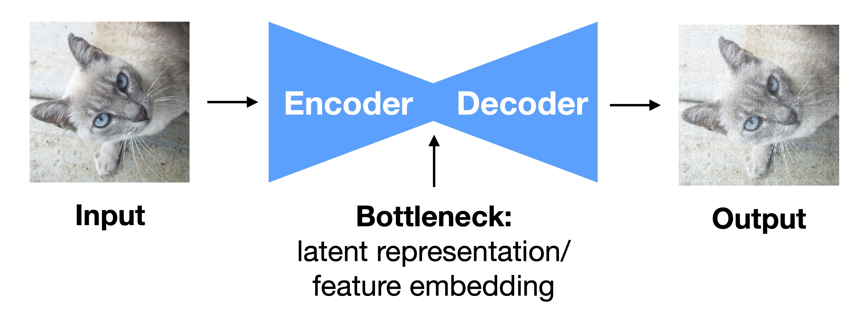 Intro to dl ch01 autoencoder
