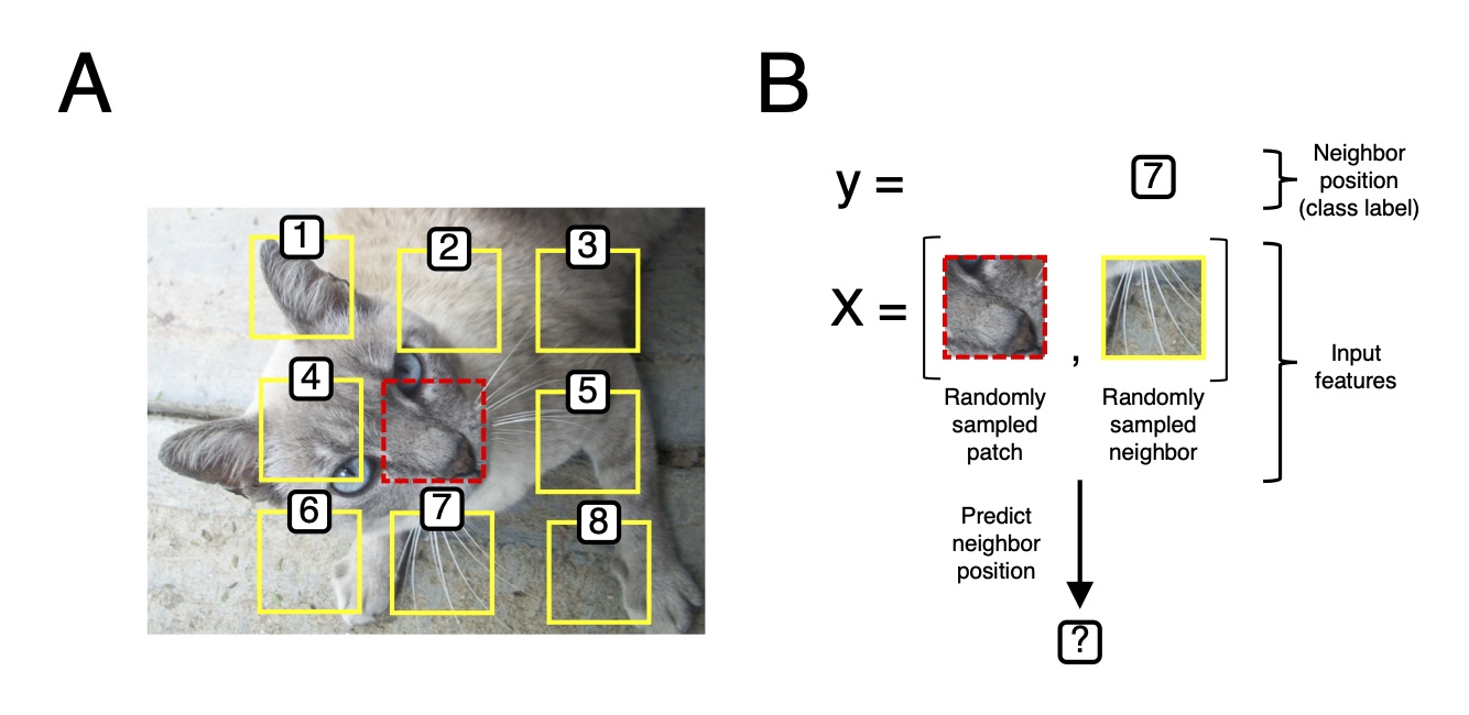 Intro to dl ch01 cat self supervised