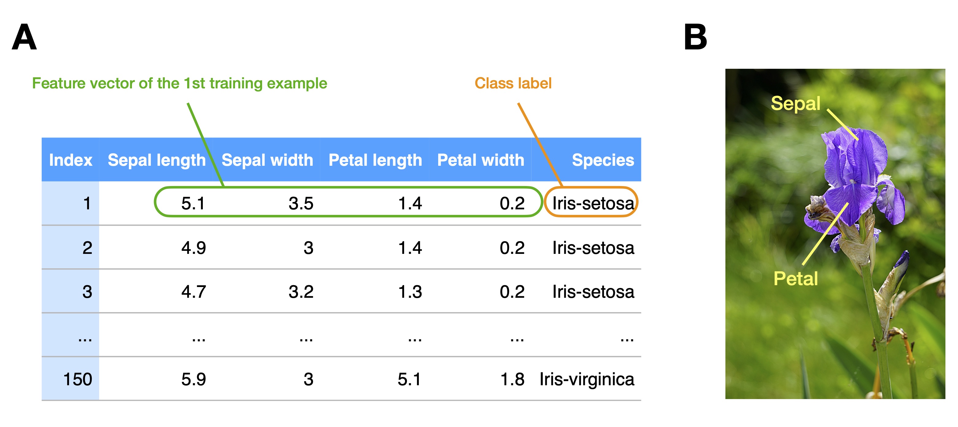Intro to dl ch01 iris